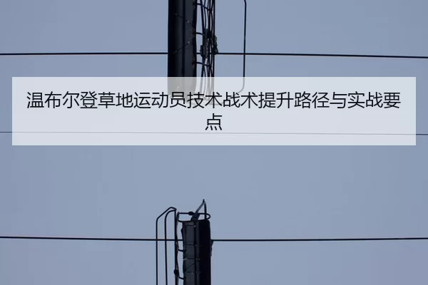 温布尔登草地运动员技术战术提升路径与实战要点